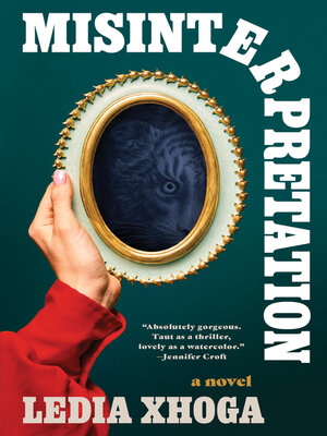 Misinterpretation - ebook